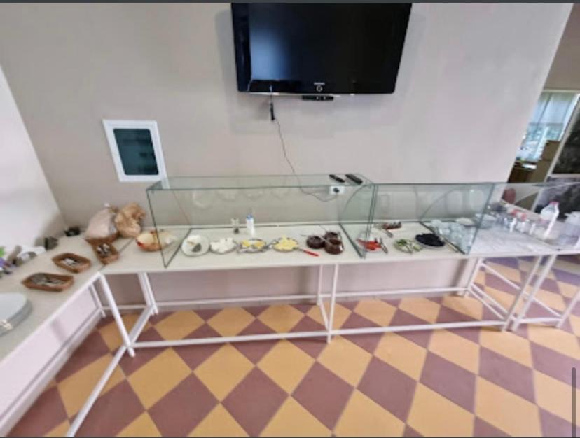Hotel Vila Nino Berat Eksteriør billede